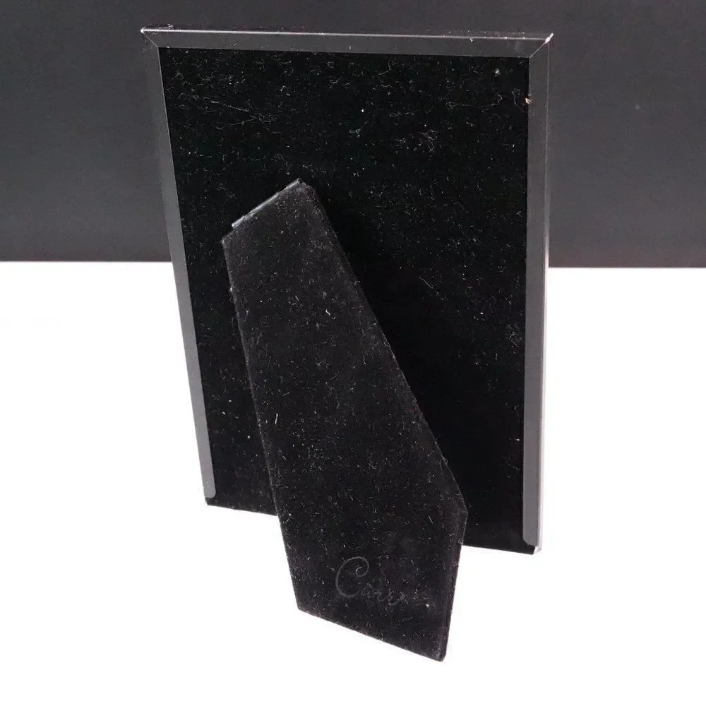 Carr picture frame